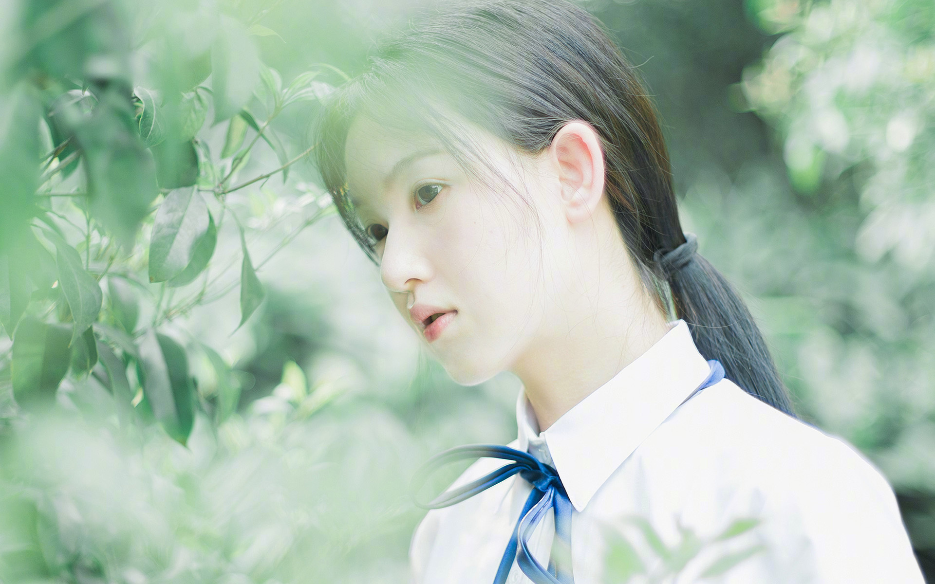 窒息攻防中诞生的孤胆英雄，福克斯生死时刻接管年度焦点战，深圳绝境逆袭山西