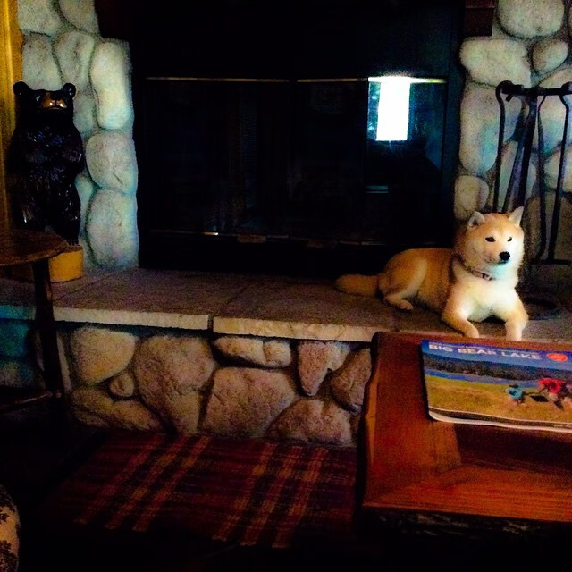 计划与偶然，足球世界里的冰与火之歌