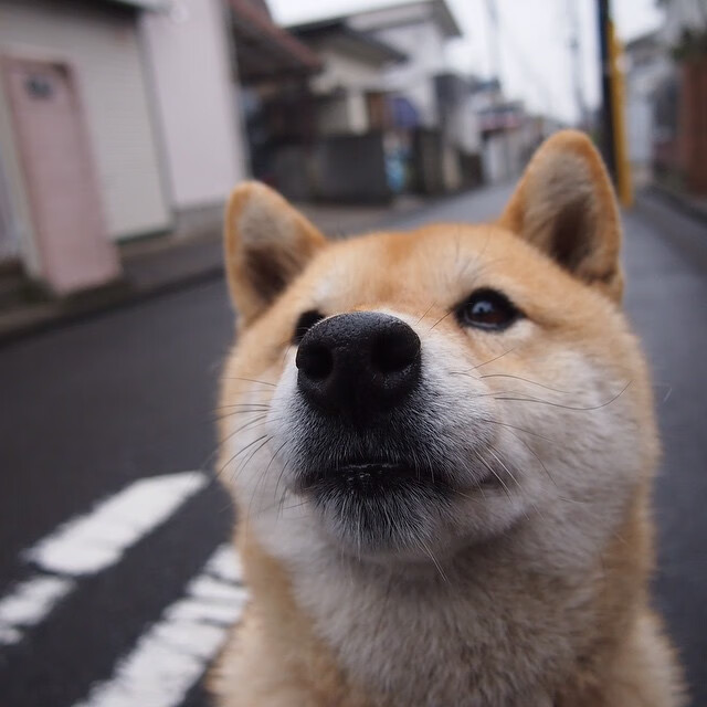 代码如同手术刀,加纳科技军团如何德布劳内式洞穿瑞典数字防线
