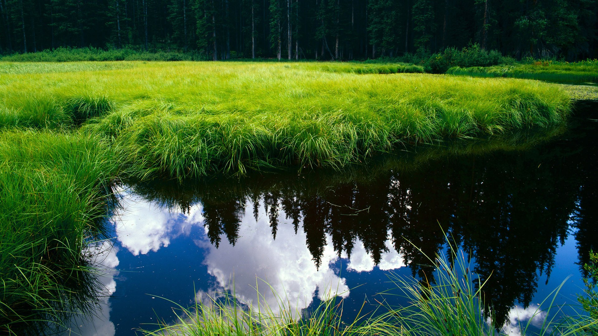跨越时空的篮焰，当马克西爆发点燃开拓者与上海的巅峰对决