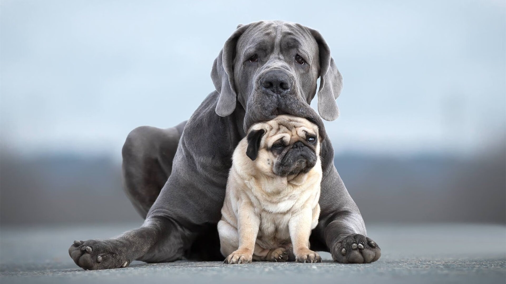 当一个时代的统治被更坚硬的整体撞碎,恩比德的眼泪映照绿军铁蹄
