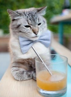 觉醒之夜，罗德里戈点燃罗马，跨越十六年深渊