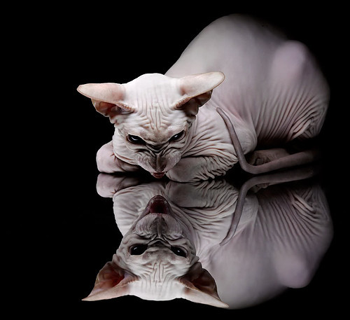 平行时空的交锋,NBA总决赛勇士火力全开,跨洋压制新疆飞虎