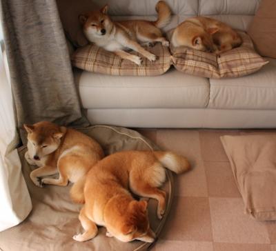 范弗利特,吉林鏖夜,唯我不掉线的系统核心