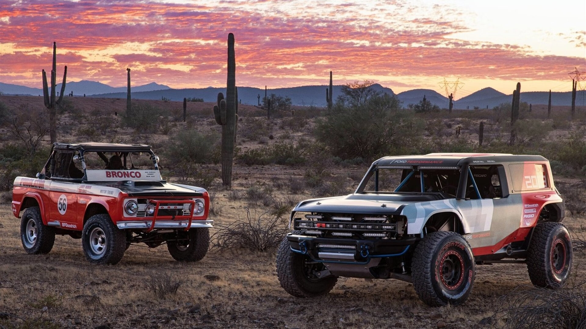 银箭与王冠,圣保罗雨战中的新王加冕礼