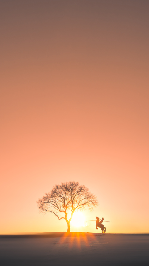 开云体育中国-宿命的破壁者，当厄瓜多尔的草根逆袭照亮范戴克的抢七之夜