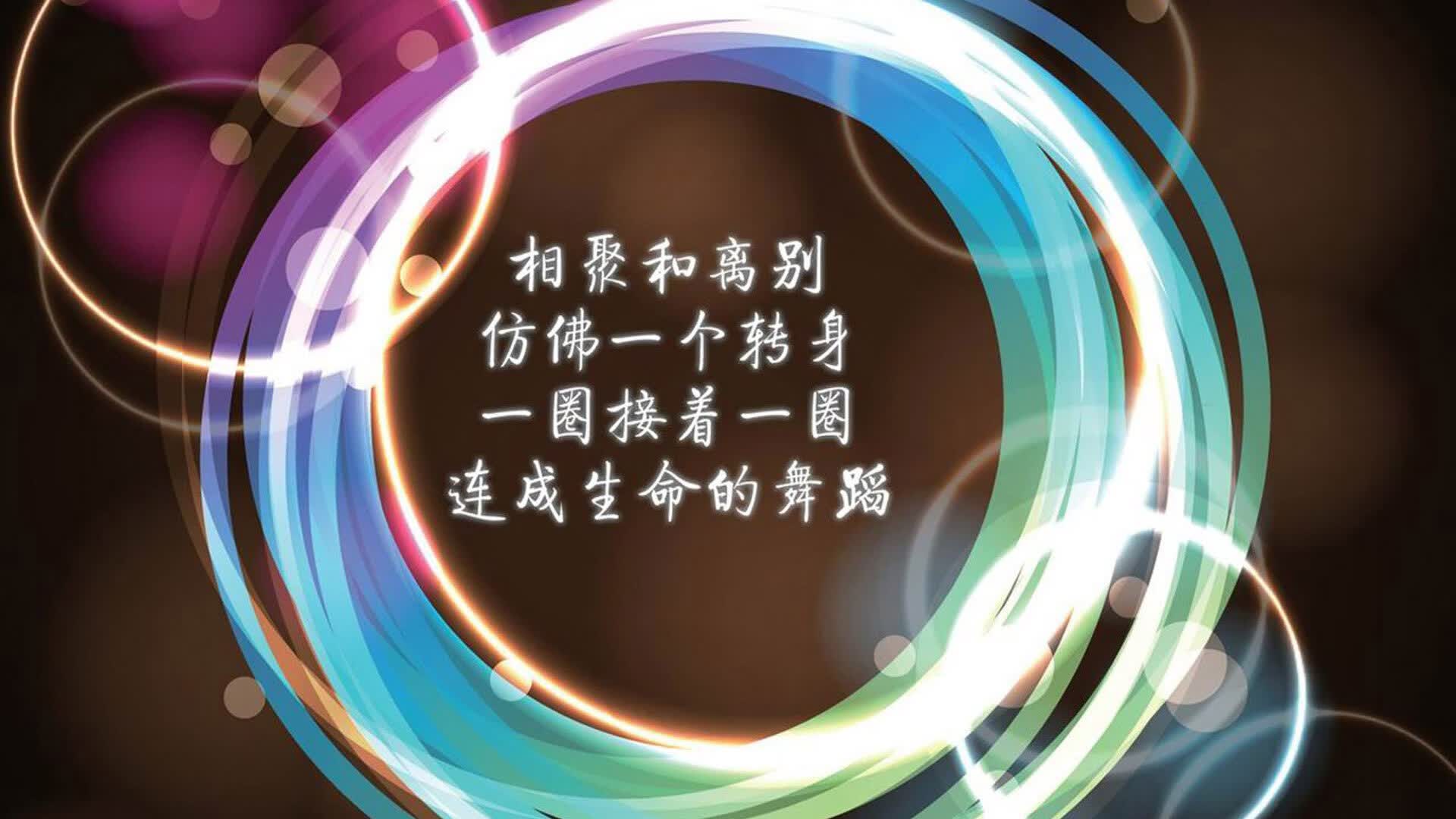 沙漠之鹰坠落,齐耶赫的绝杀,与哥斯达黎加永不熄灭的足球魂