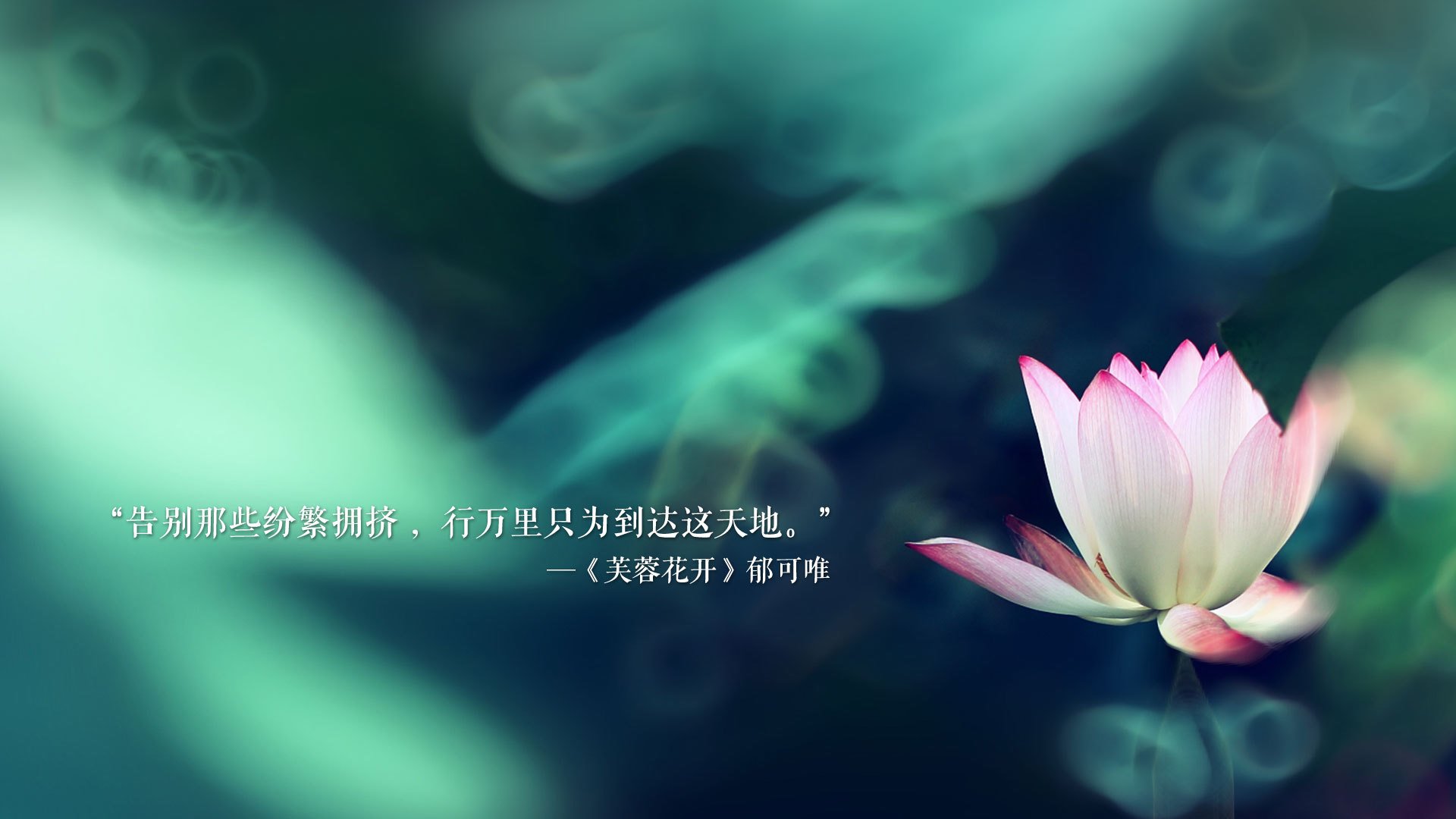 唯一之局,德容的沉默独白与B组那场被遗忘的平衡游戏